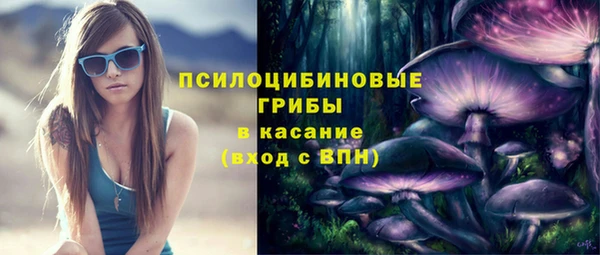 ешки Беломорск