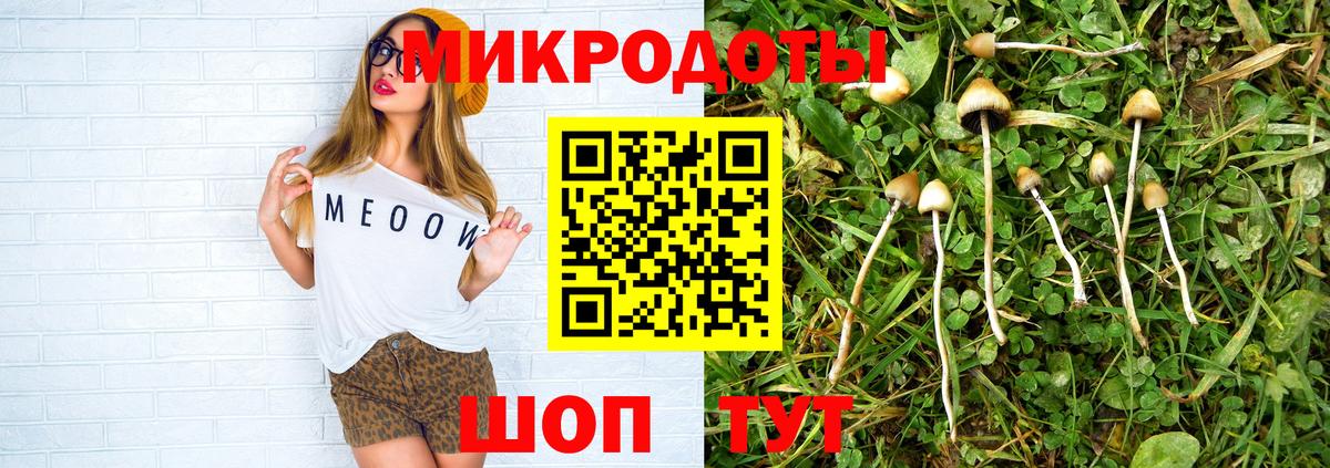 Галлюциногенные грибы Psilocybine cubensis  Галлюциногенные грибы Psilocybe  Калуга  Вход с VPN 